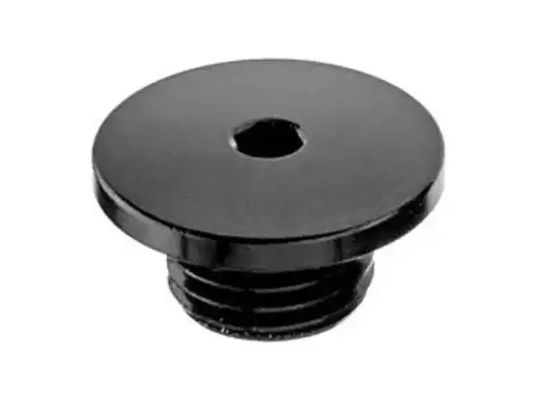 Shimano ST-R9120/R9170/R8070/R8020 bleed screw - Y0C698030