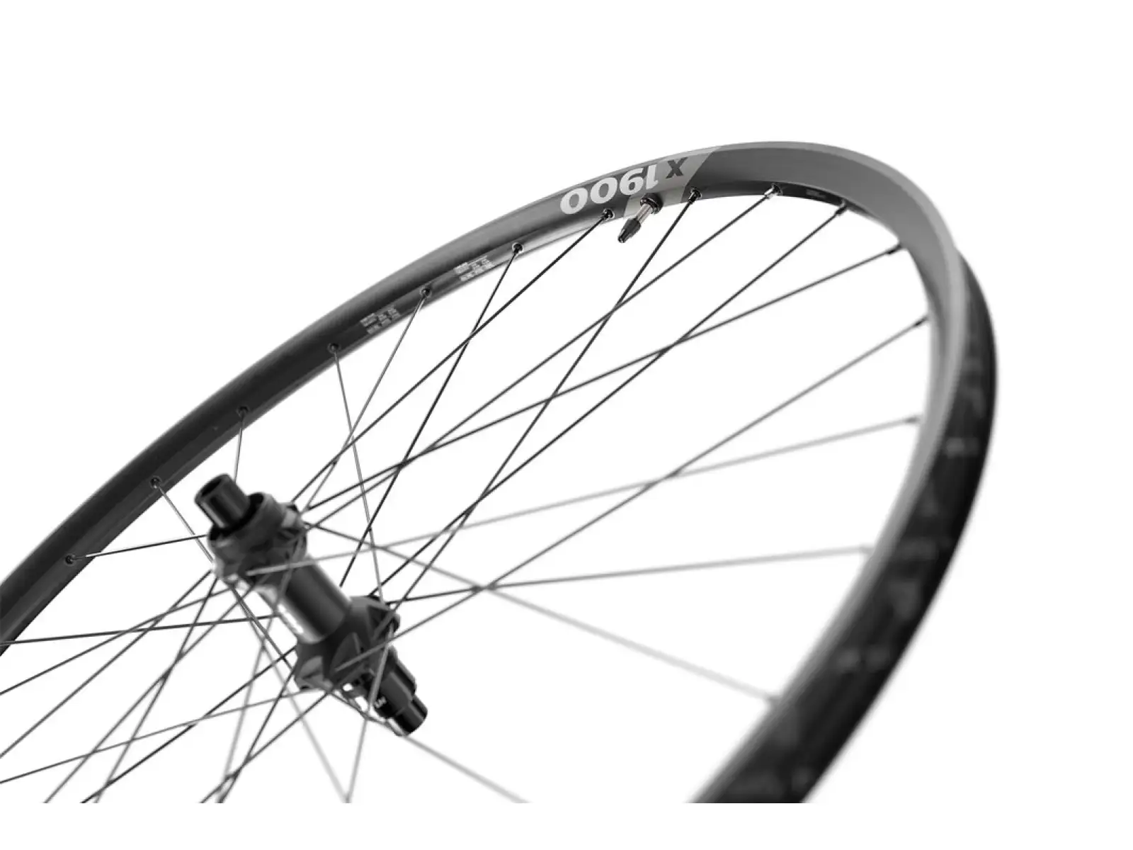 DT Swiss X 1900 Spline Boost 29" CL 25 mm wheelset hub Sram XD