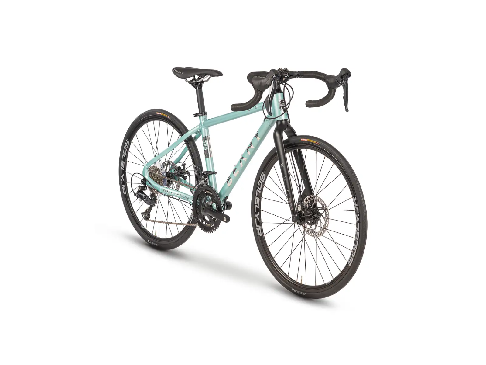 Beany Zen 26 road children's bike Mint