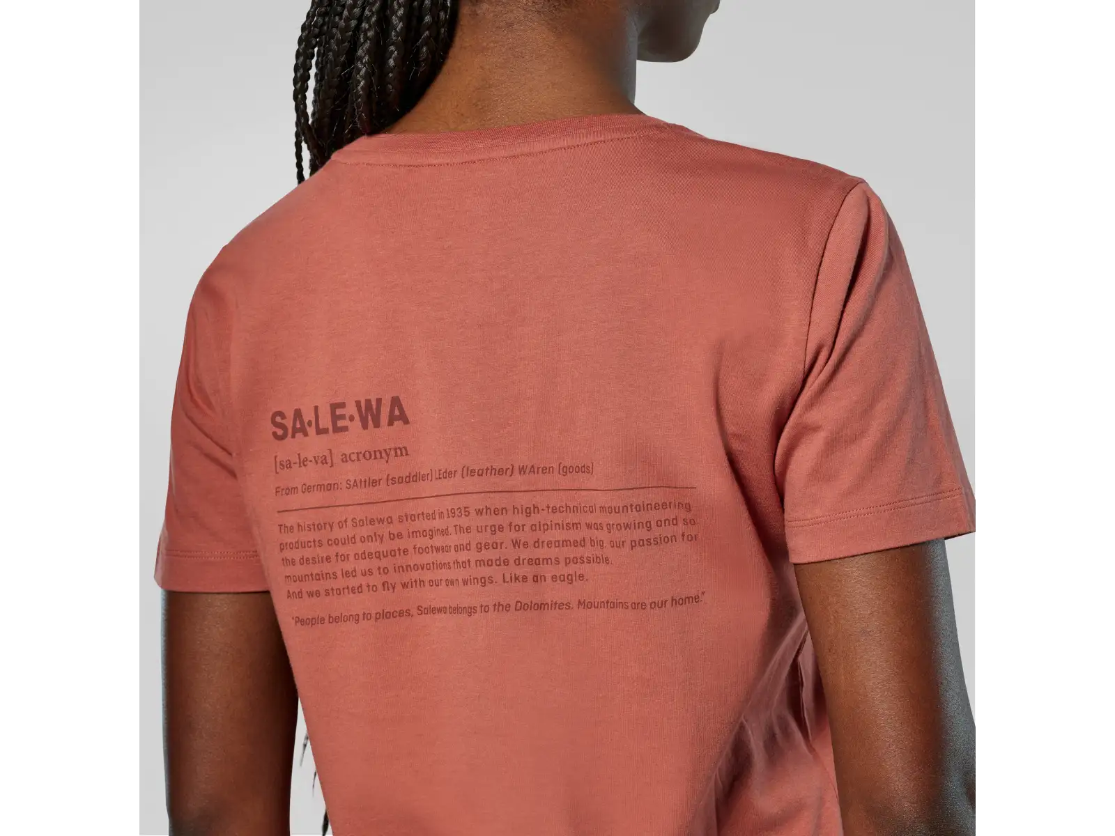 Salewa Eagle Vocab T-shirt women's T-shirt short sleeve Etruscan red
