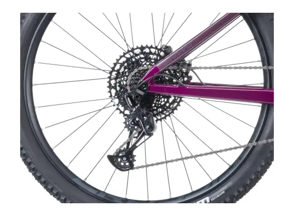 Crussis e-Fionna AX 9.12-M2S(600) mountain e-bike