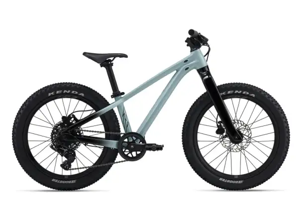 Liv STP 20 kids mountain bike Soap Suds