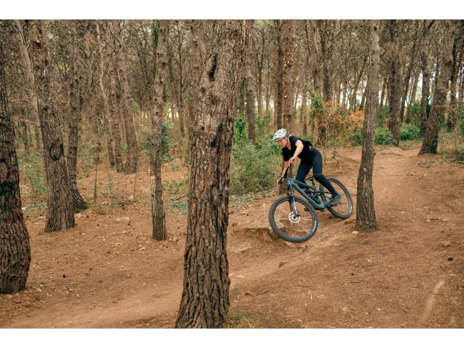 Cannondale Habit Carbon LT 1 mountain bike Chalk