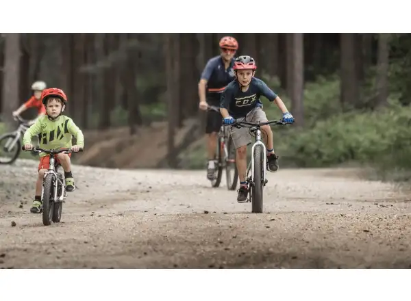 Early Rider Seeker 16 children's bike Sage Green