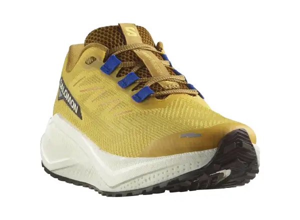 Salomon Aero Blaze 3 GRVL men's running shoes Spicy Mustard