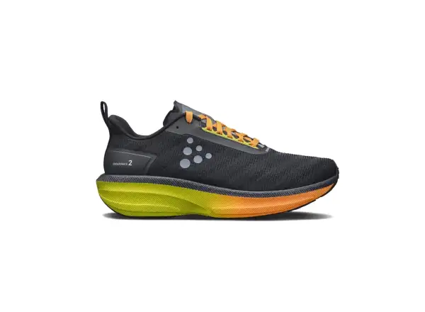 Craft Endurance 2 men's shoes black