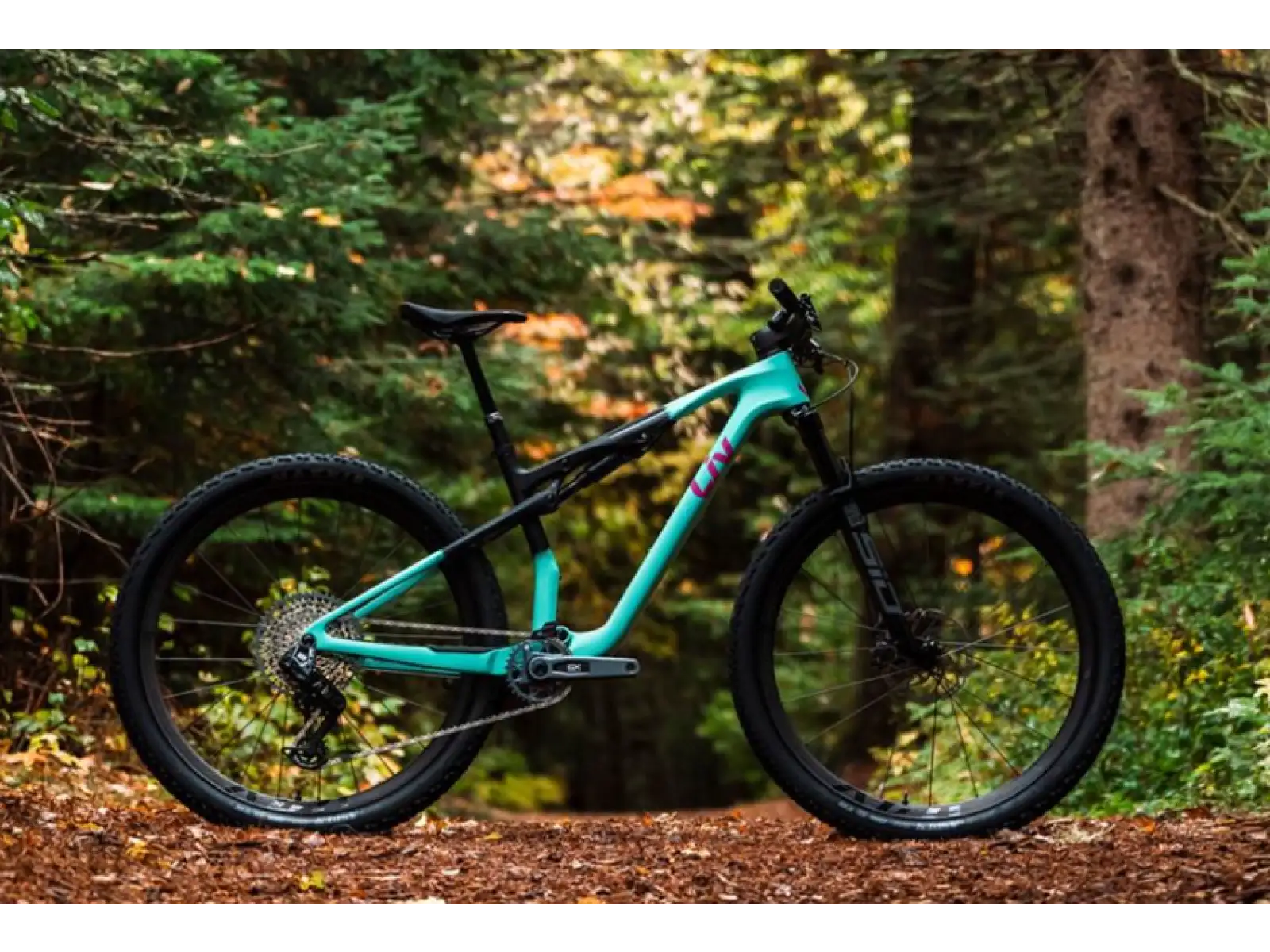 Liv Pique Advanced 1 mountain bike Lake Green / Black