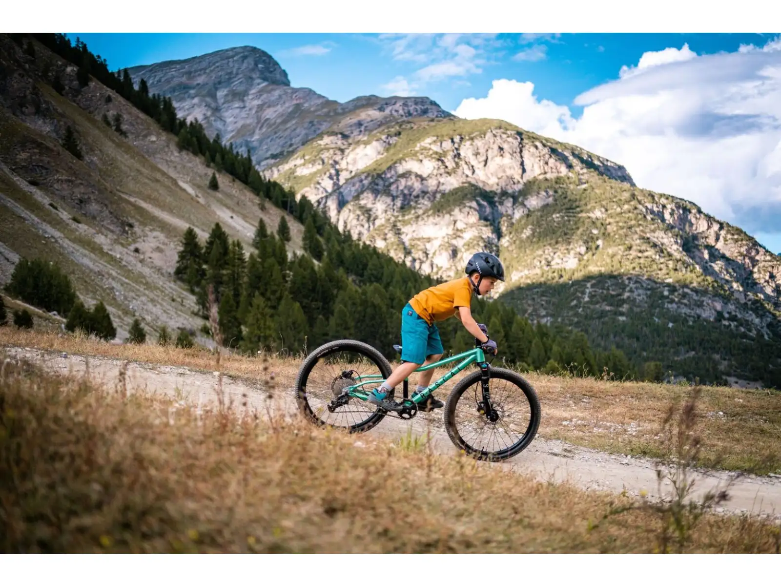 Rascal Wild 24 children's bike Emerald
