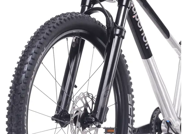 Superior TEAM 24 kids bike Gloss Brushed Alu / Rainbow Black