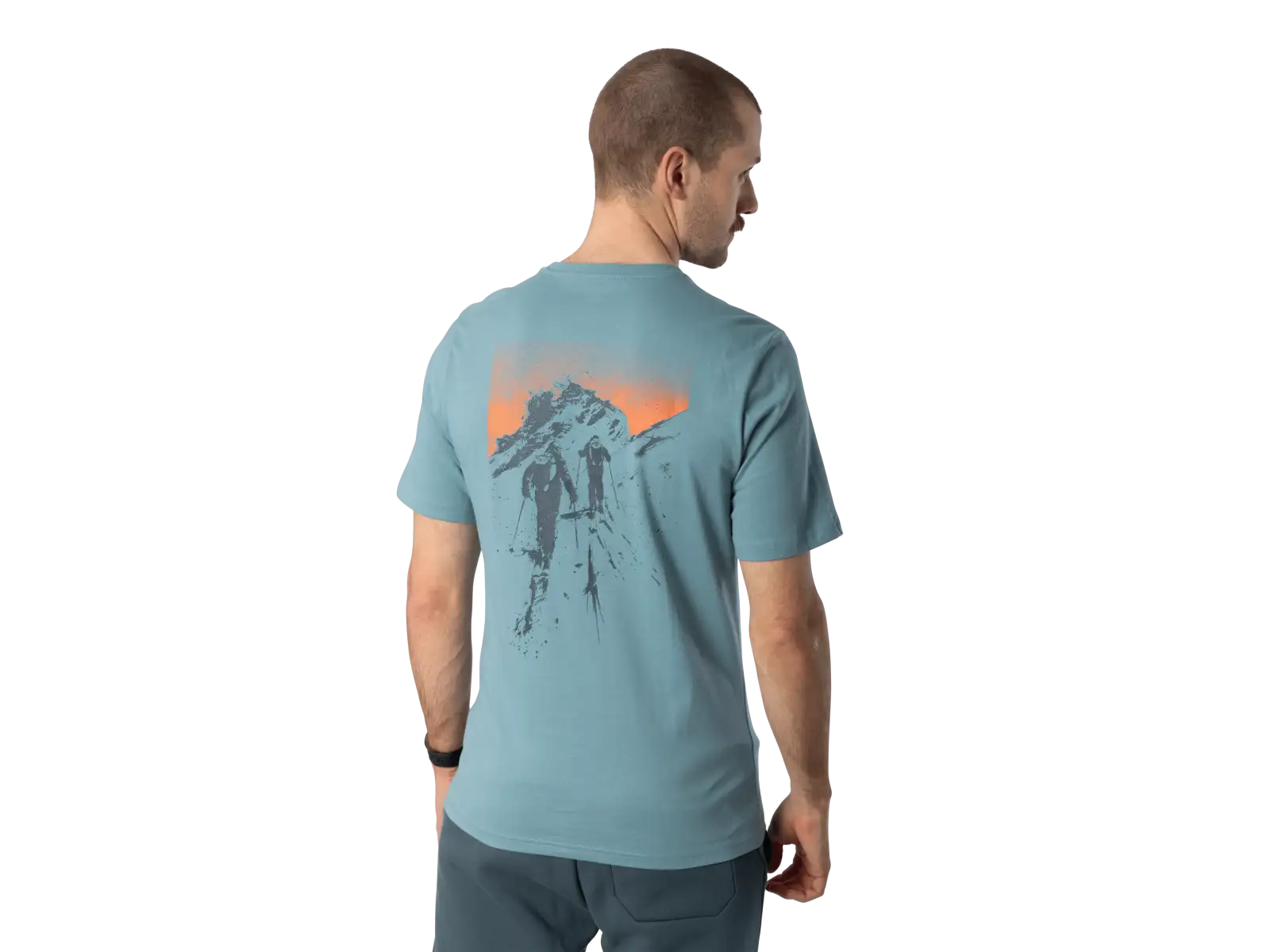 Dynafit Back Graphic Cotton men's T-shirt short sleeve Smoke Blue/Approach
