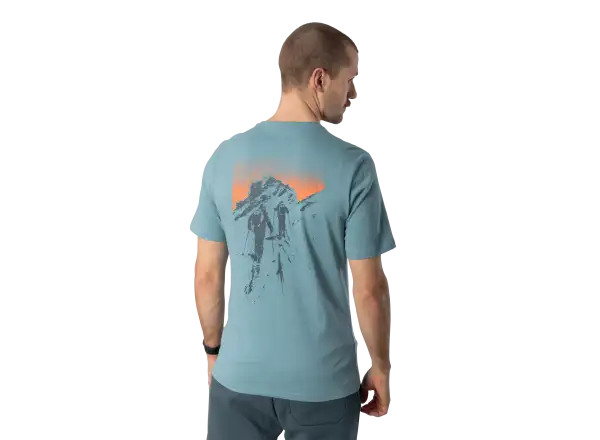 Dynafit Back Graphic Cotton men's T-shirt short sleeve Smoke Blue/Approach