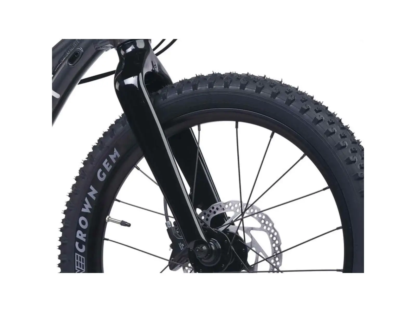 Academy S-Grade Trail 4 R kids bike 20" black