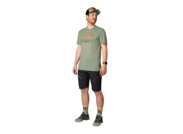 Dynafit Transalper Graphic men's T-shirt Blueberry