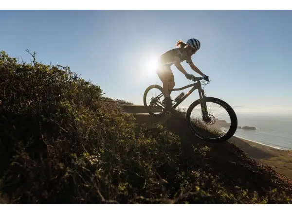 IBIS DV9 frame set Muddy Waters