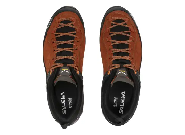Salewa Mountain Trainer 2 GTX men's trekking shoes Autumnal/Black
