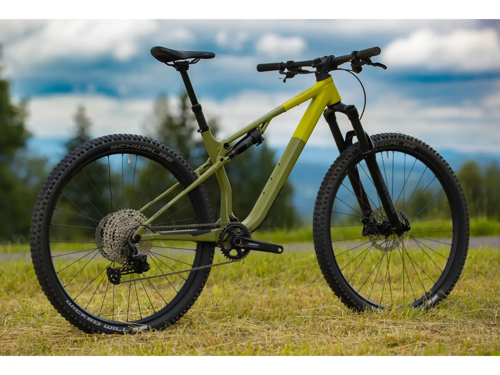 Superior XF 6.2 DC mountain bike Gloss Olive