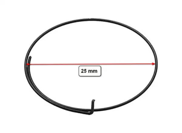 Campagnolo HG freehub pawl (3pcs) + spring (for freehub with 1 spring)