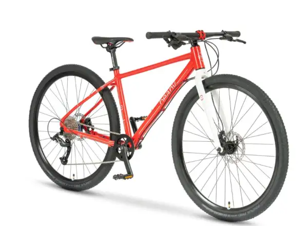 Beany Zero 29 kids bicycle Red