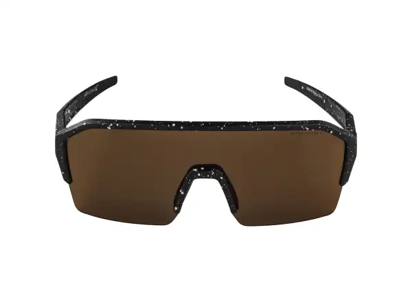 Alpina Ram HR Q-Lite glasses Black/Blur Matt