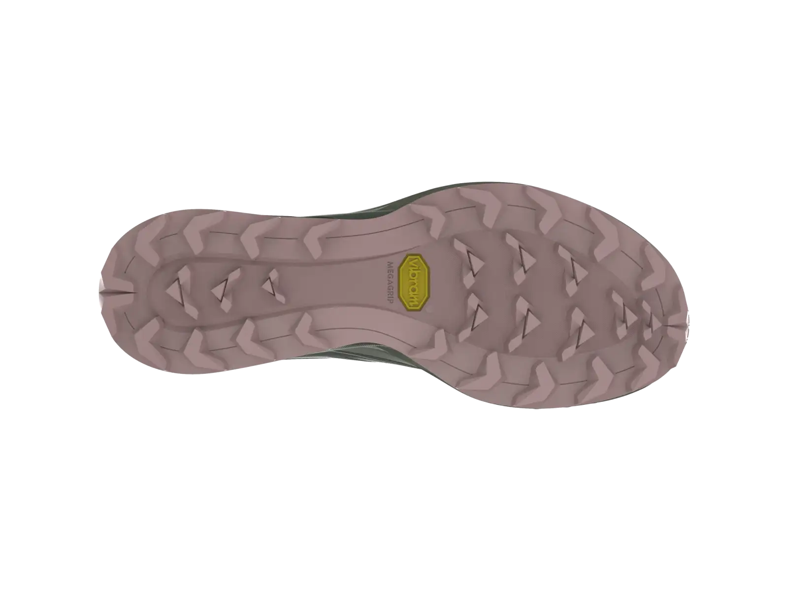 Dynafit Alpine women's running shoes Yerba Thyme