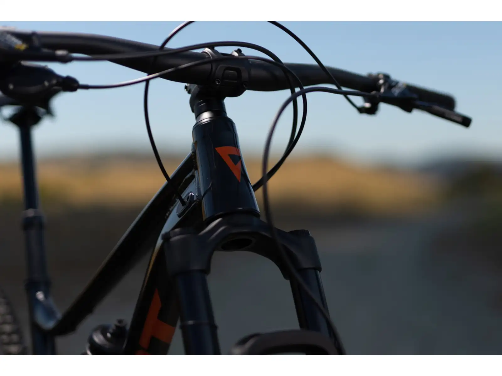 Giant Stance 29 1 full suspension bike Metallic Black