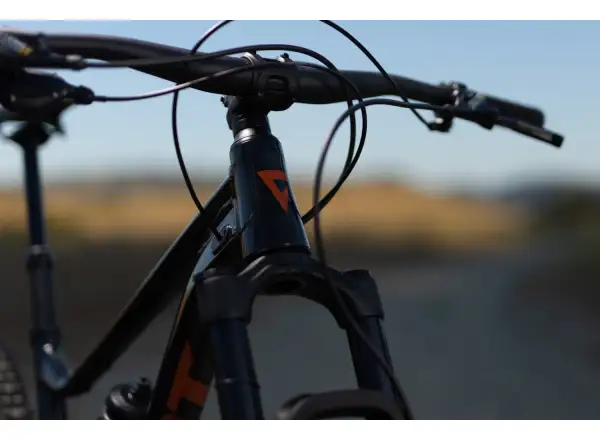 Giant Stance 29 1 full suspension bike Metallic Black