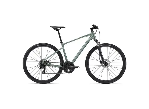 Gaint Roam 4 Disc trekking bike Misty Forest