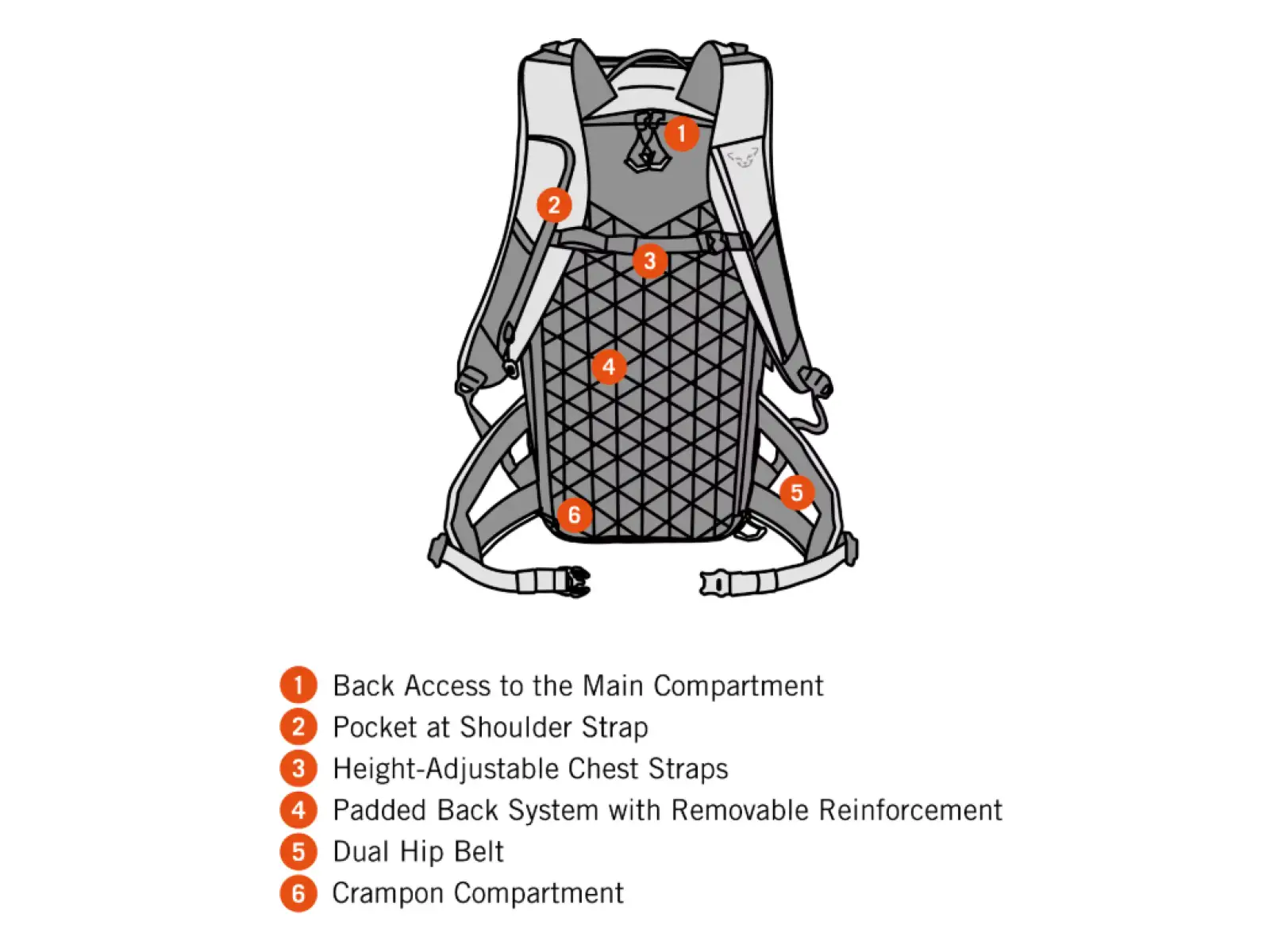 Dynafit Free women's backpack 32 l Marine Blue/Blueberry