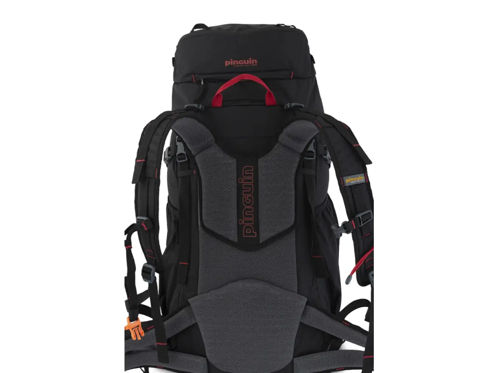 Pinguin Walker 50 backpack 50l Black