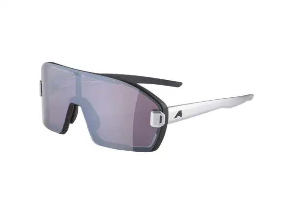 Alpina Bonfire Mag Q goggles Black Matt