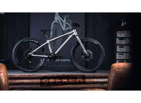 Early Rider Seeker 20 children's bike Brushed Aluminium