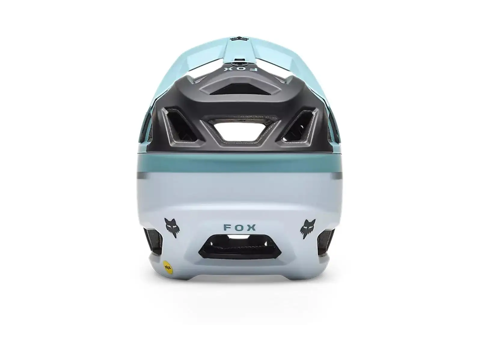 Fox Proframe Rizer Ce helmet Pale Blue