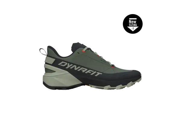 Dynafit Transalper 2 GTX men's running shoes Black Out/Thyme