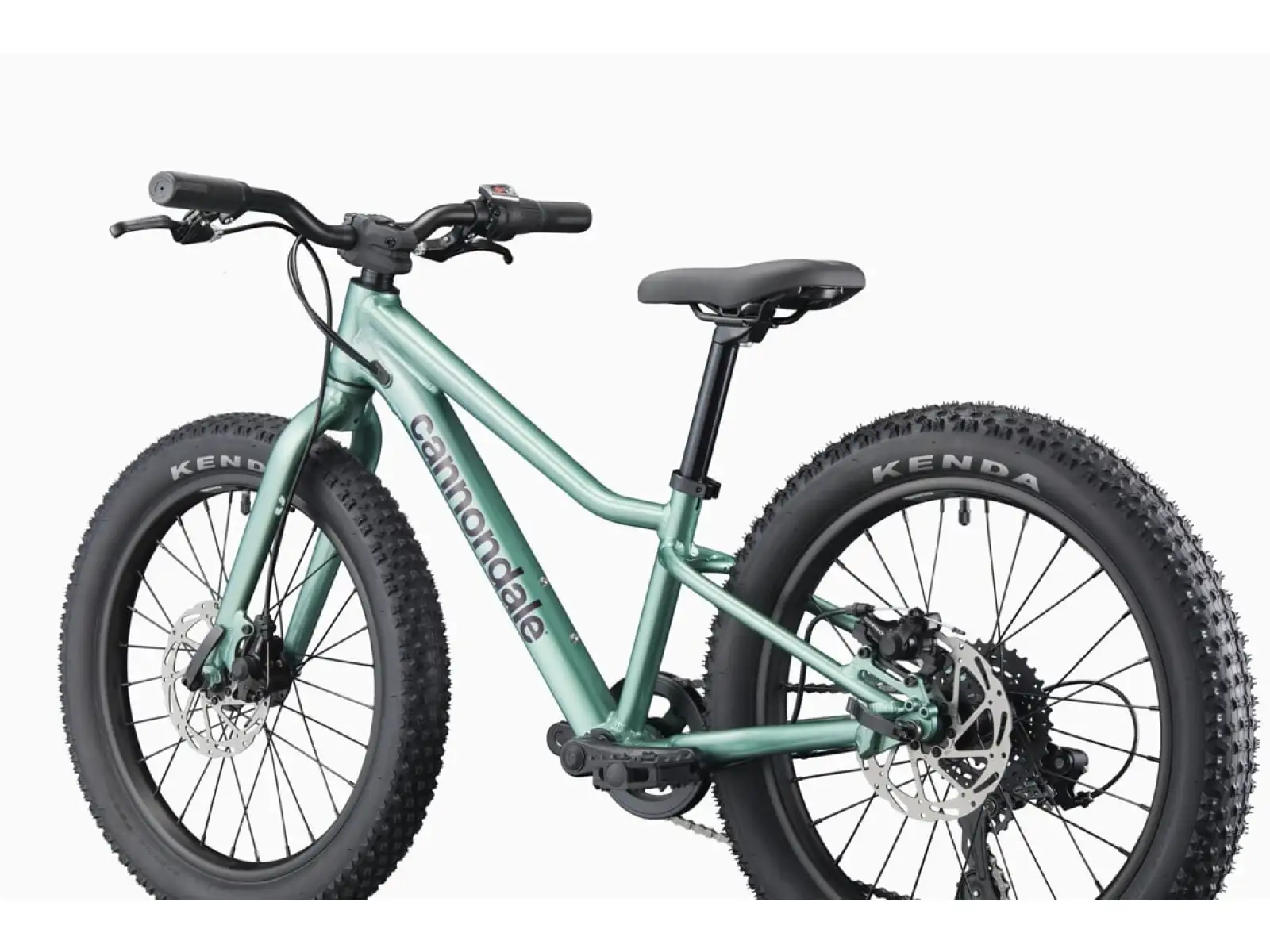 Cannondale Kids Trail Plus 20 kids bike Cactus Green
