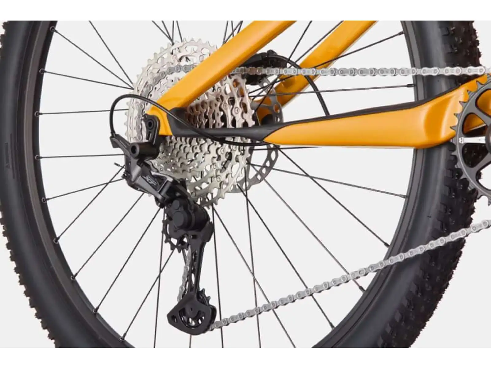 Cannondale Scalpel Carbon SE 2 mountain bike Mango