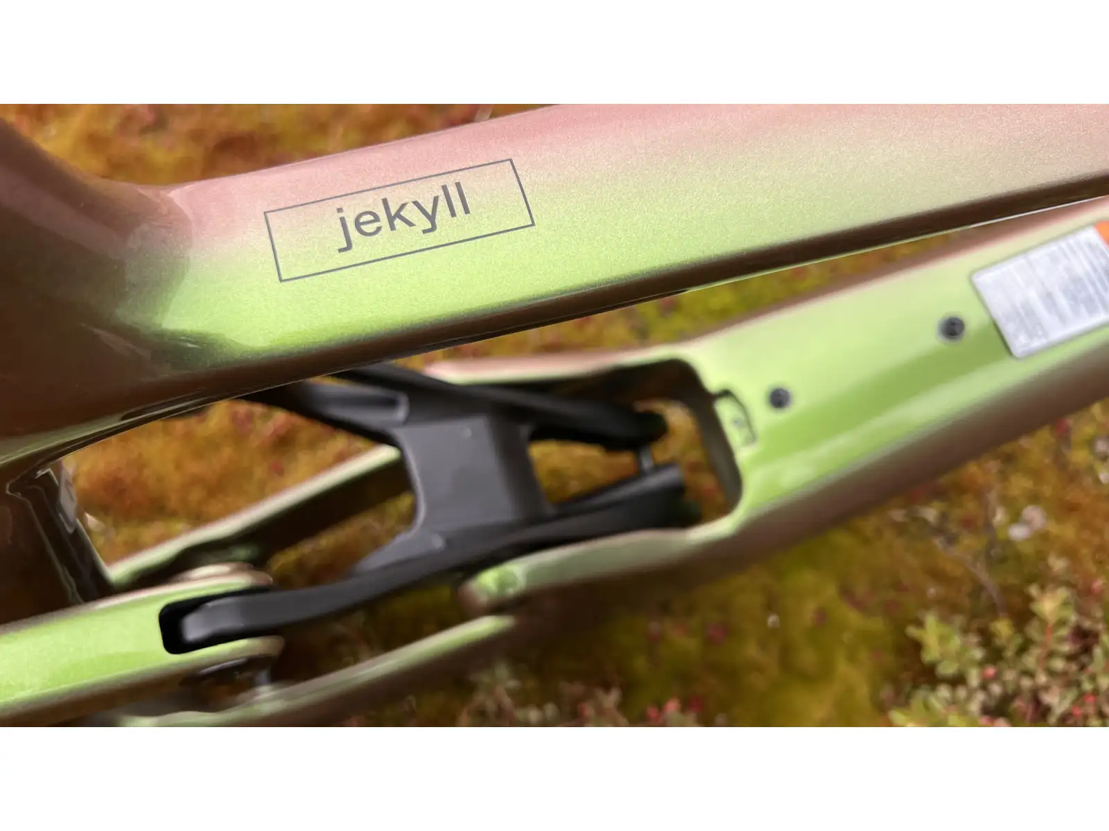 Cannondale Jekyll Frame Carbon MTB frame BGN