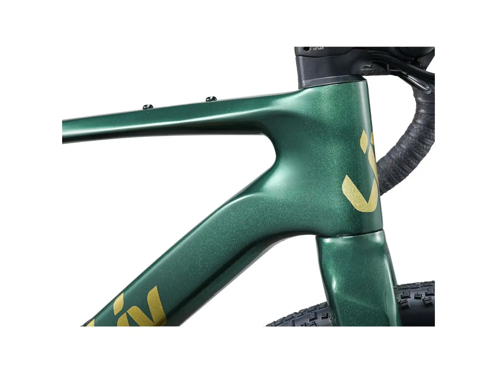 Liv Devote Advanced 2 gravel bike kelp forest