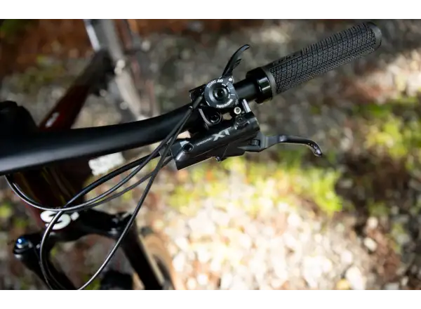 Superior XF 9.6 Team full suspension bike Gloss Carbon/Red Carbon
