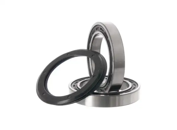 Campagnolo bearing for crankset Ultra Torque USB CERAMIC RECORD 2pcs