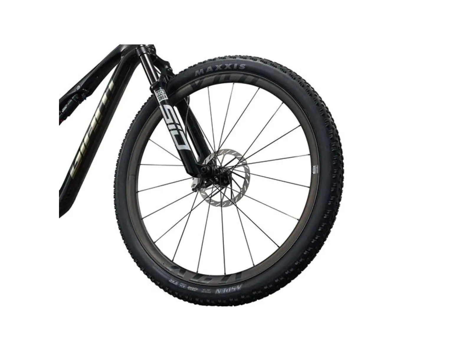 Giant Anthem Advanced 0 full suspension mountain bike Raw Carbon