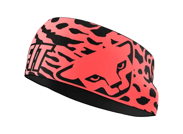Dynafit Graphic Performance headband Black Out/Stripes