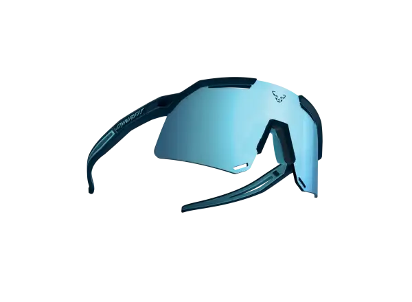 Dynafit Ultra Evo sunglasses Blueberry/Storm Blue