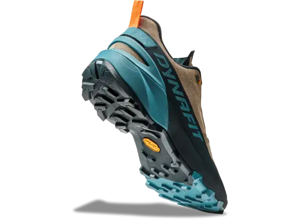 Dynafit Transalper 2 GTX men's running shoes Blueberry/Fallen Rock