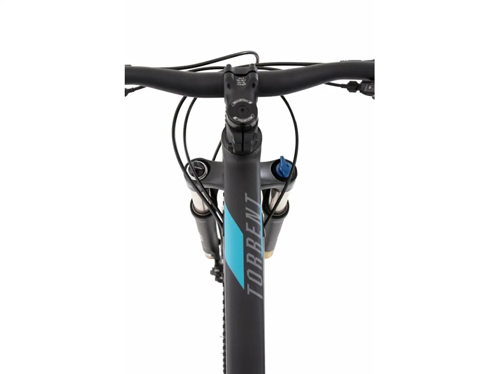 Rock Machine Torrent 30-29 mountain bike Black/Petrol SAMPLE