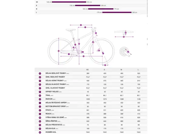 Liv Rove 1 trekking bike Tyrian Purple
