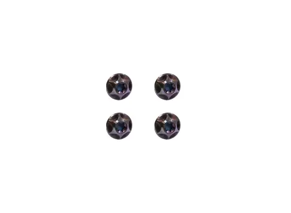 Silca Ti set of screws for bottle cage Royal Purple