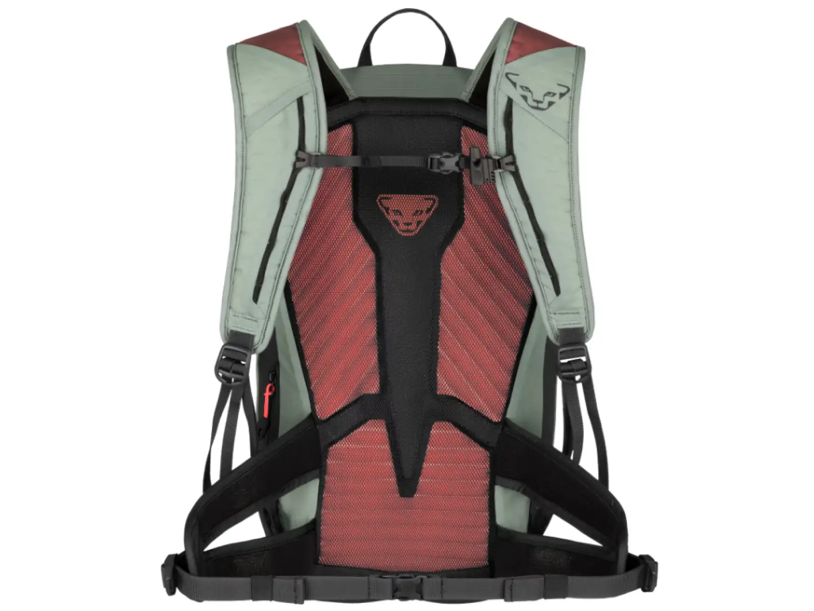 Dynafit Transalper 22 W backpack Jadelite/Black Out