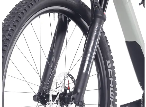 Superior XF 6.6 DC mountain bike Matte Green Grey