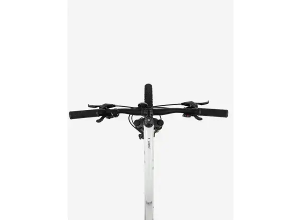 Liv Tempt 5 mountain bike Snow Drift