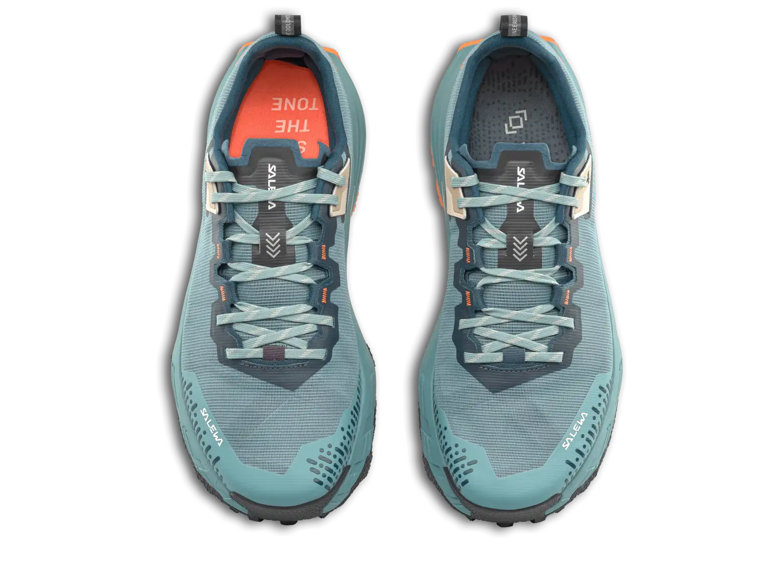 Salewa Pedroc 2 Max men's shoes Willow/Pond